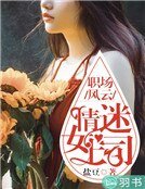 职场风云:情迷女上司